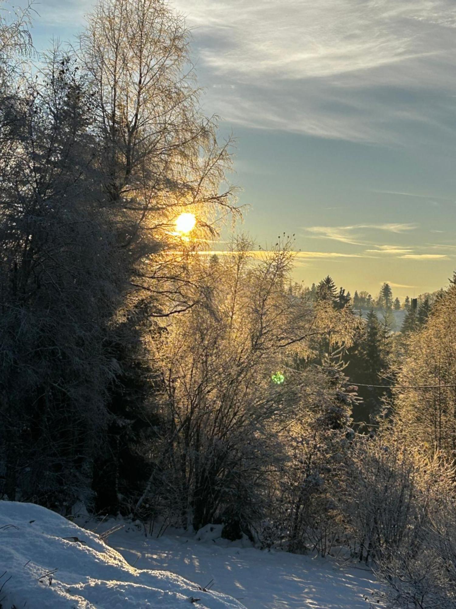 Chalet Avec Jacuzzi Prive, Vue Sur Les Vosges Belfahy ภายนอก รูปภาพ