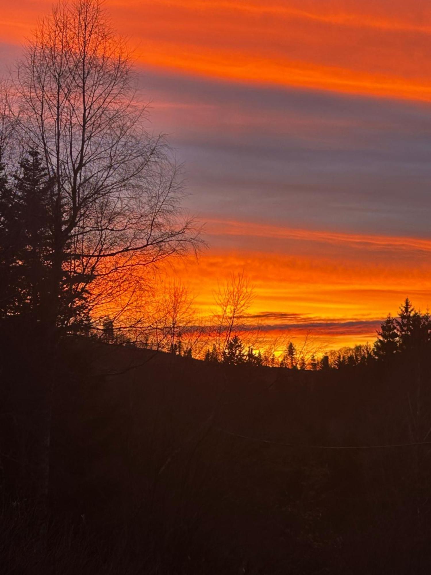 Chalet Avec Jacuzzi Prive, Vue Sur Les Vosges Belfahy ภายนอก รูปภาพ